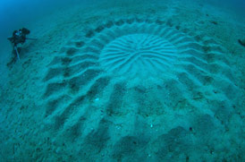 Мистические круги на дне океана оказались частью истории любви...