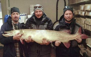 Рекорды рыбалки: в штате Мичиган поймана трофейная щука.