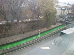 Воды речки Лыбедь в Киеве стали изумрудно-зелеными