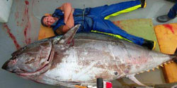 Трофейный тунец будет продан на аукционе в Японии