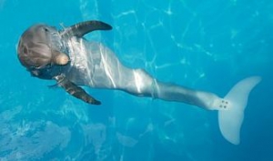 Дельфин помог вовремя диагностировать рак у женщины