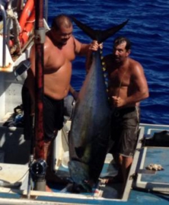 Желтоперый тунец обеспечил рыбаку приключение всей жизни