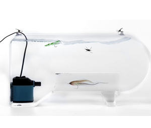 Fish-Skull Fly Tester поможет проверить нахлыстовые мушки и стримеры не выходя из дома
