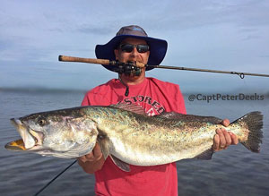 Рыбак из Флориды поймал потенциально рекордного пятнистого горбыля