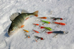 Международный праздник зимней рыбалки «Золотая рыбка-2009» прошел в Эстонии