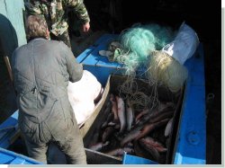 Рыбалка в Крыму: Браконьеры губят даже мальков