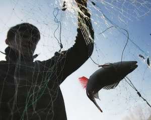 Рыбалка в Украине: Экологи провели выставку запрещенных рыболовецких снастей