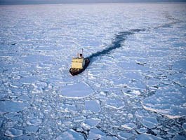Вопрос экологии: Арктика тает - хорошая новость?