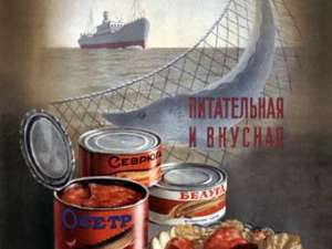 Рыбалка в России: В Москве появилась "рыбная" реклама