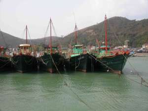 Вьетнам просит Китай снять запрет на вылов рыбы в его водах