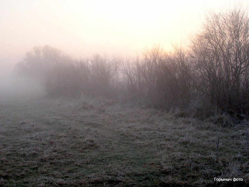 Морозно-туманное утро