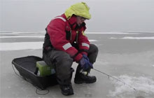Ловля окуня со льда на Куршском заливе
